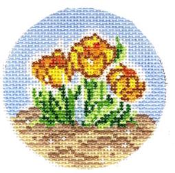 DAFFODIL ROUND