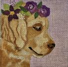 Golden Retriever 4