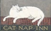 Cat Nap Inn 13M