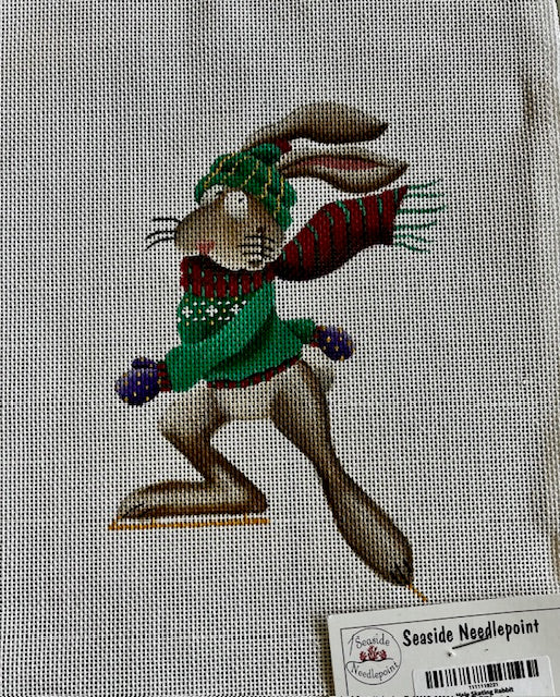 He Skating Rabbit