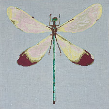 Dragonfly C T 004