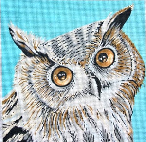 Owl on Blue