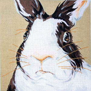 Brown & White Bunny