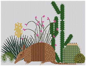 Armadillo & Cactus