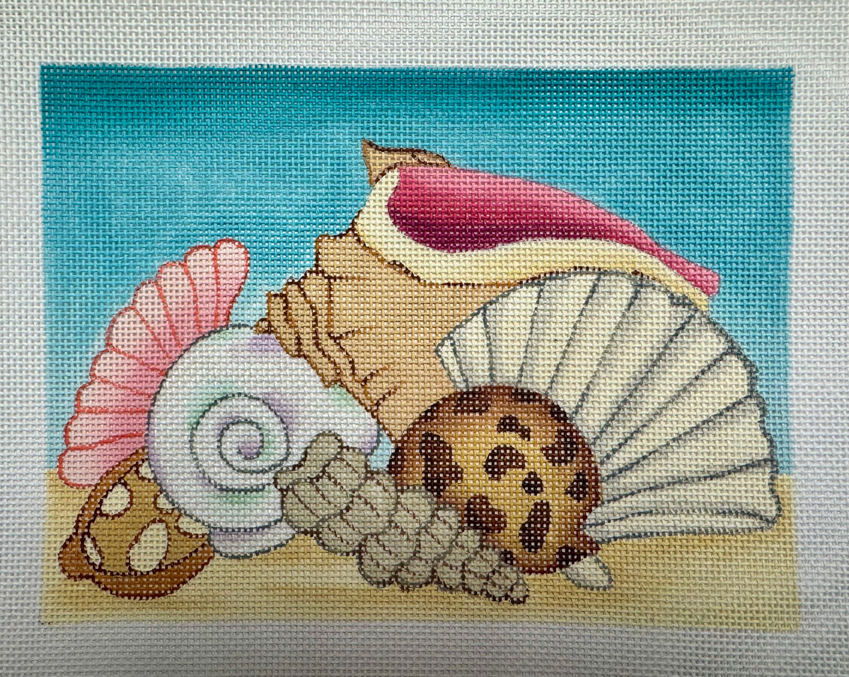 Seashells