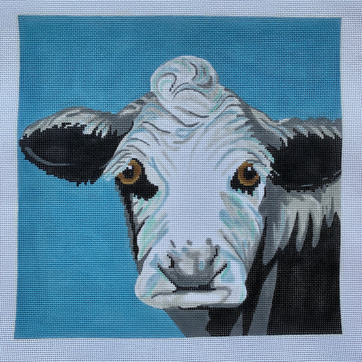 Cow On Blue