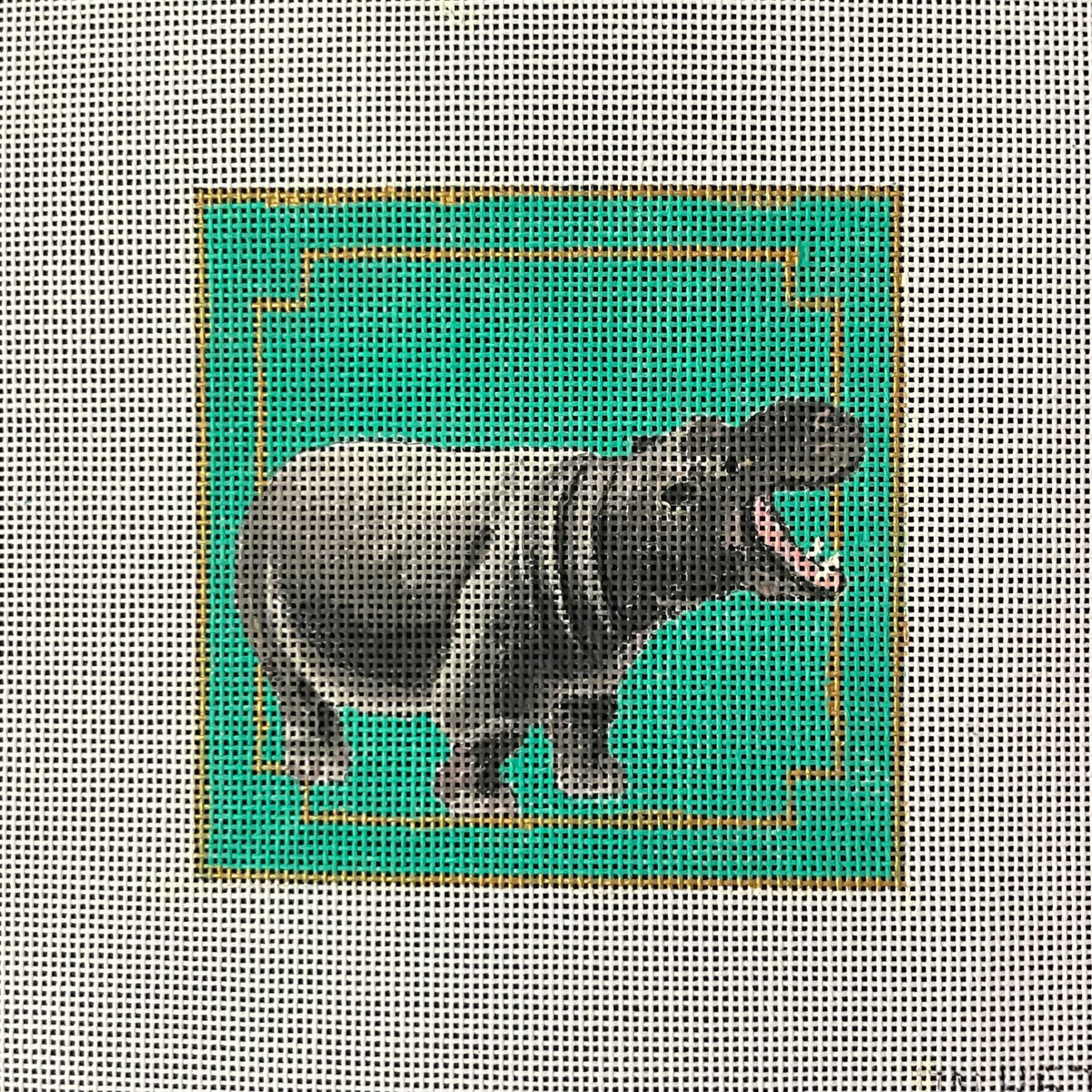 Hippopotamus on Green