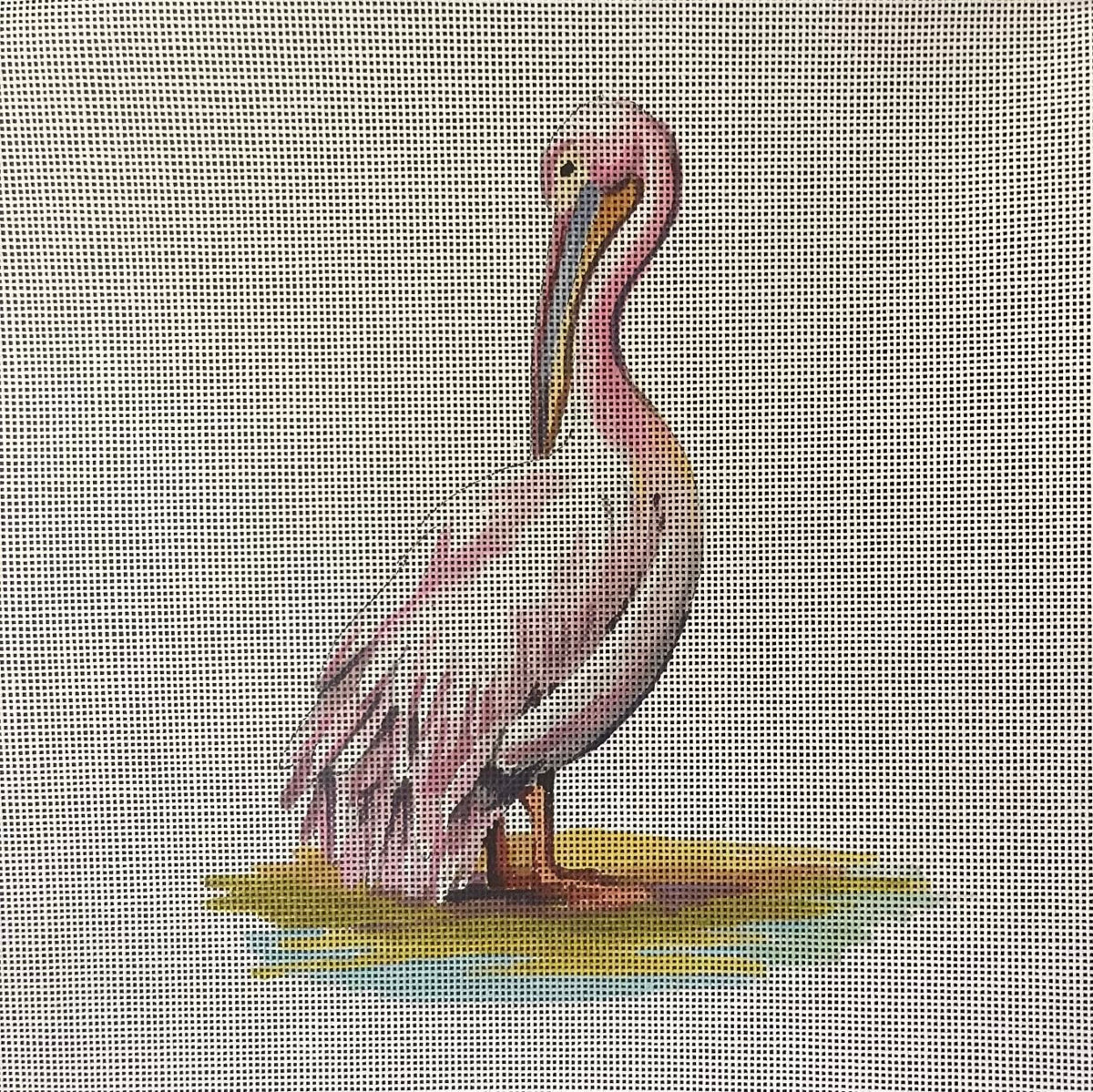 White Pelican