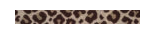 Leopard Skin Belt