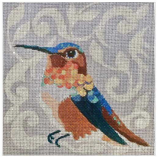 Fall Hummingbird 6X6 18M