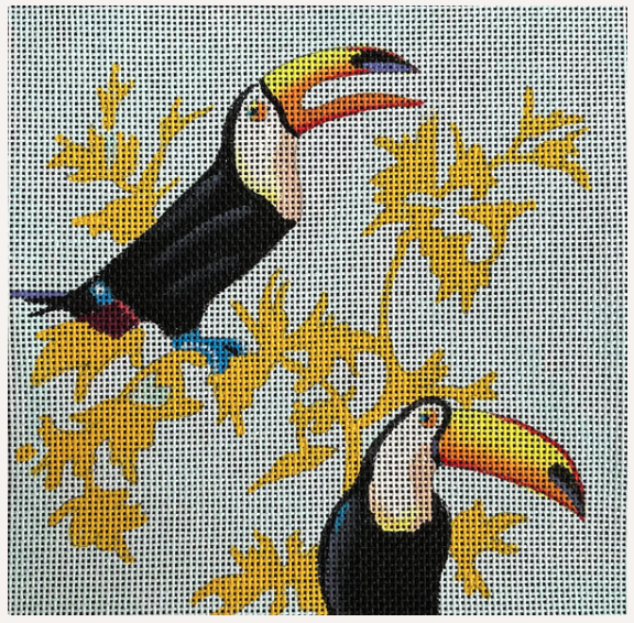 Toucan 6" Square