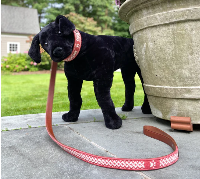 Nantucket Braid Leash-Red