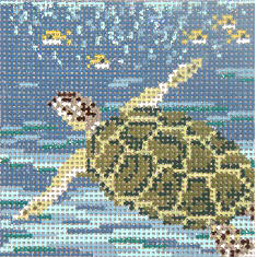 Sea Turtle 4 Sq 13M