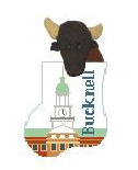 Bucknell w/ Bison