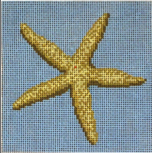 Starfish 4 Sq 18M