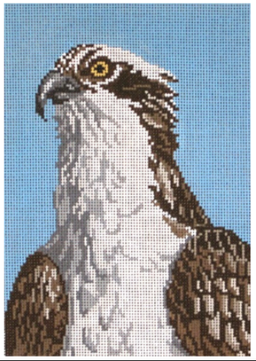 Osprey Head