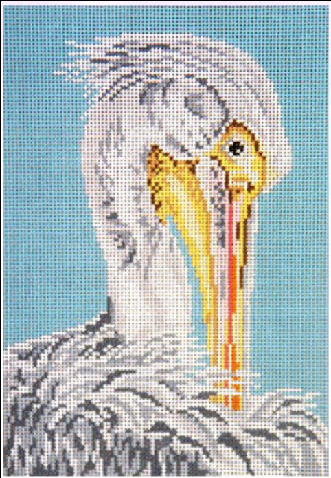 White Pelican Head