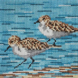 Sanderlings 4 Sq