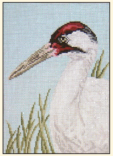 Whooping Crane