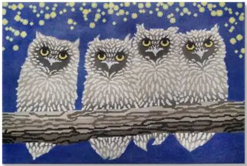 Owls Night