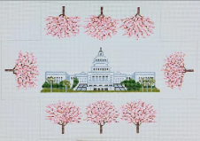 Us Capitol With Chery Blossoms Brick Cover