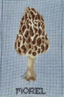 Morel Mushroom