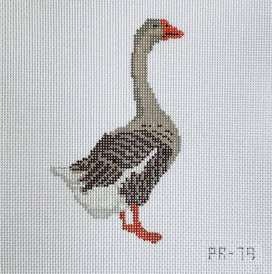 Toulouse Goose