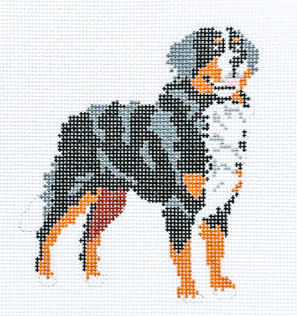 Bernese Mountain Dog