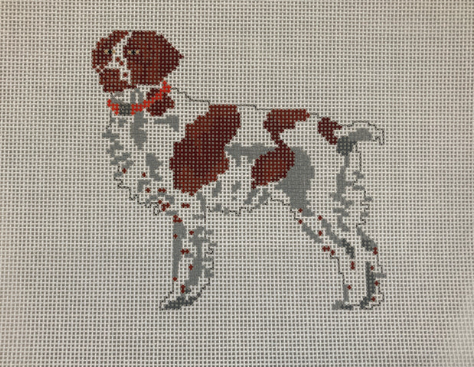 Brittany Spaniel