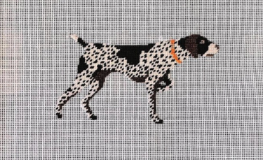 German Shorthaired Pointer