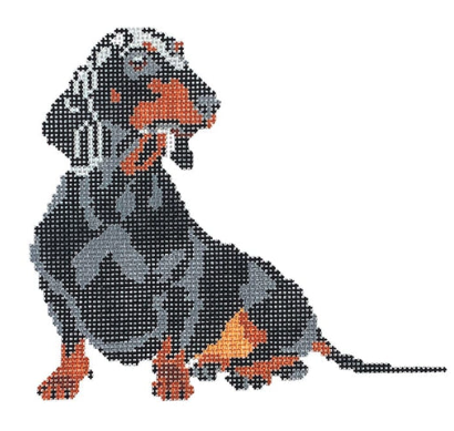 Gretal The Dachshund