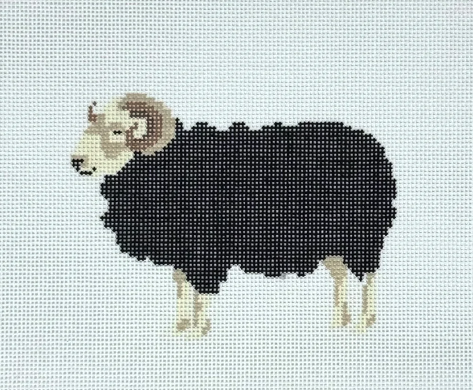 Herdwick Ram