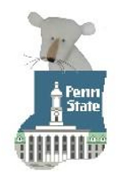 Penn State w/ Nittany Lion