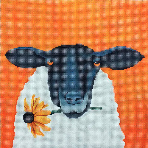 Sheep with Daisy Square