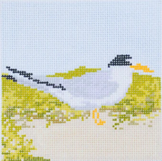 Least Tern Coaster