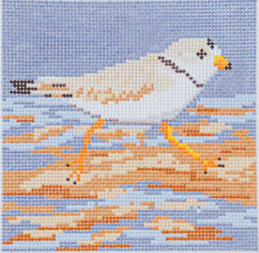 Piping Plover Coaster