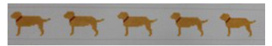 Yellow Lab Belt