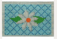 White Flower On Turquoise With Lattice Background