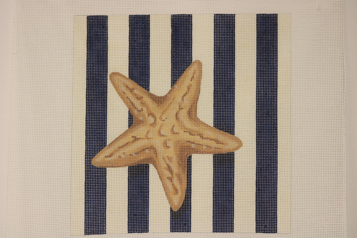 Starfish Square Stripes