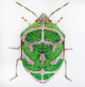 Big Bug Green & Pink