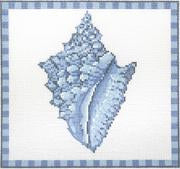 Conch Shell In Ocean Blue