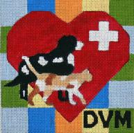 DVM - Doctor of Veterinary Medicine