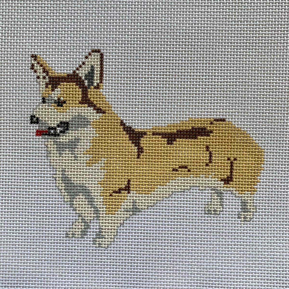 Corgi