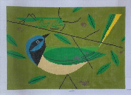 Green Jay