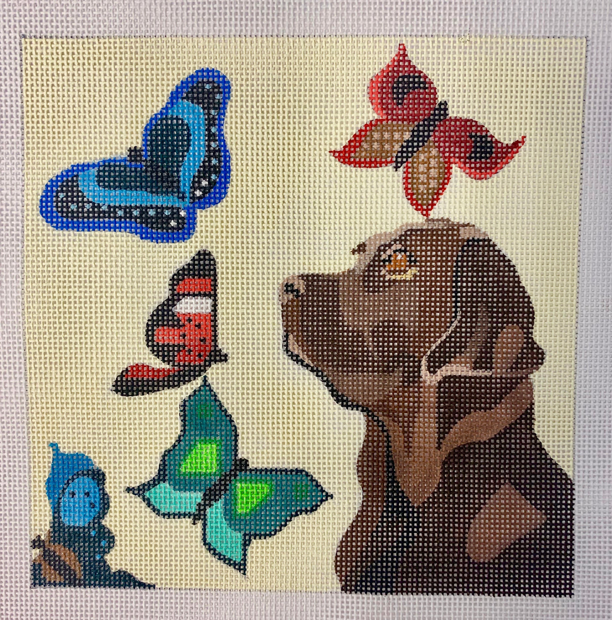 Butterfly Labrador