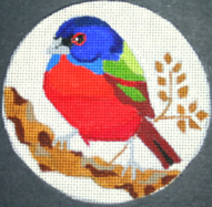 Painted Bunting