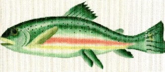 Rainbow Trout