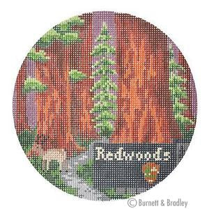 Redwoods Exploring America