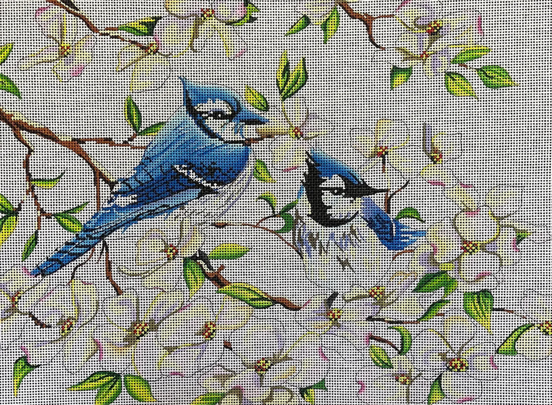 Blue Jays In Dogwoods