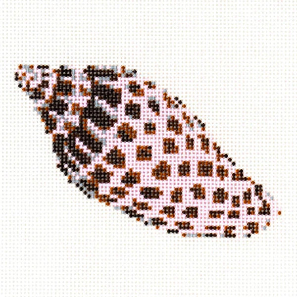 Junonia Shell-Ann Kaye